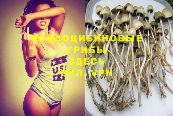 не бодяженный Армянск