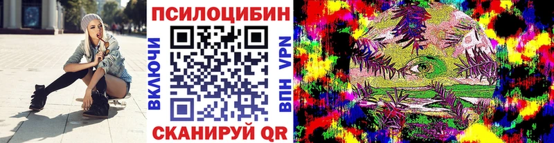 купить наркотики цена  Ельня  Псилоцибиновые грибы Magic Shrooms 